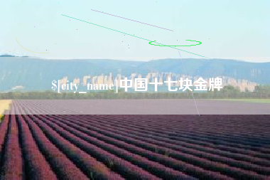 海盐中国十七块金牌
