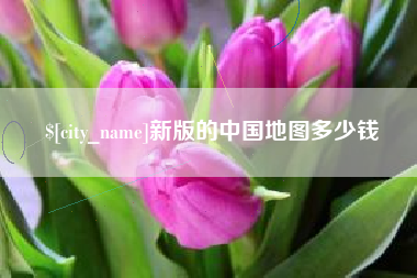 海盐新版的中国地图多少钱