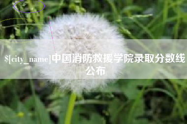 海盐中国消防救援学院录取分数线公布