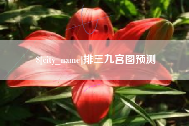 海盐排三九宫图预测