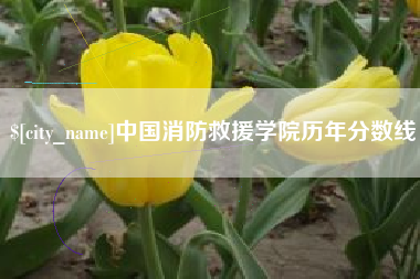 海盐中国消防救援学院历年分数线
