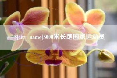 海盐5000米长跑国家运动员