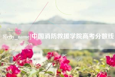 海盐中国消防救援学院高考分数线