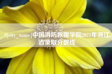 海盐中国消防救援学院2021年浙江省录取分数线