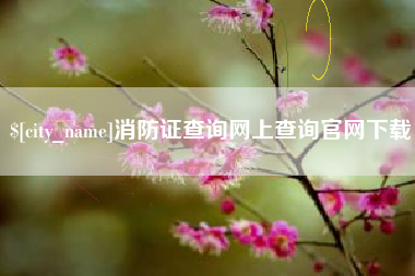 海盐消防证查询网上查询官网下载