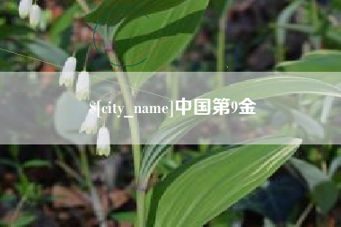 海盐中国第9金