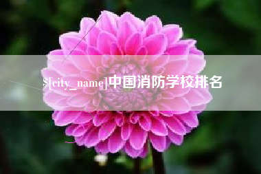 海盐中国消防学校排名