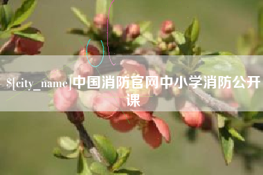 海盐中国消防官网中小学消防公开课