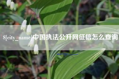 海盐中国执法公开网征信怎么查询