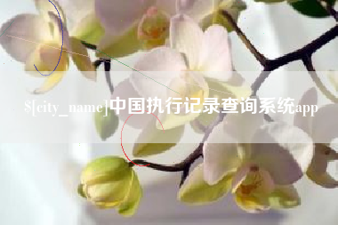 海盐中国执行记录查询系统app