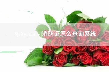 海盐消防证怎么查询系统