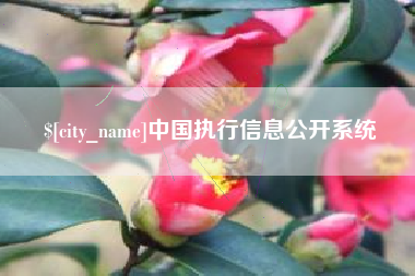 海盐中国执行信息公开系统