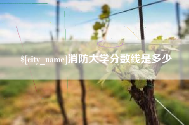 海盐消防大学分数线是多少