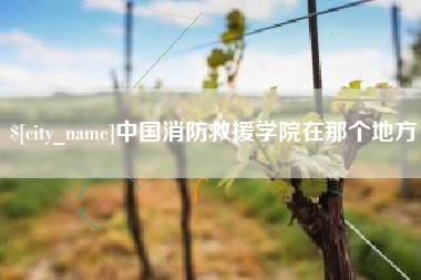 海盐中国消防救援学院在那个地方