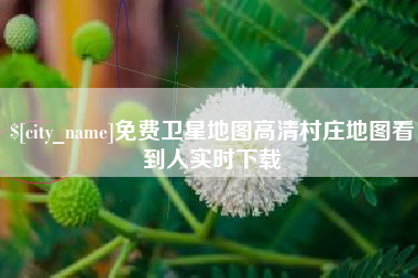 海盐免费卫星地图高清村庄地图看到人实时下载
