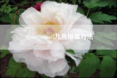 海盐九宫排盘方法
