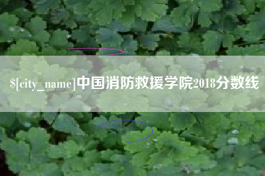 海盐中国消防救援学院2018分数线