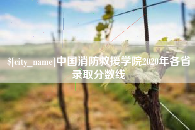海盐中国消防救援学院2020年各省录取分数线