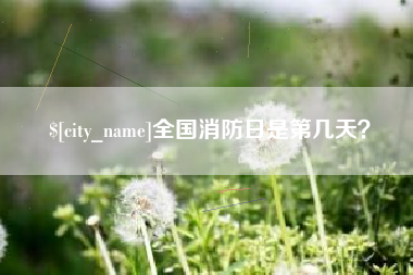 海盐全国消防日是第几天？