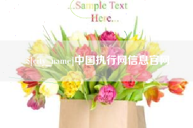 海盐中国执行网信息官网