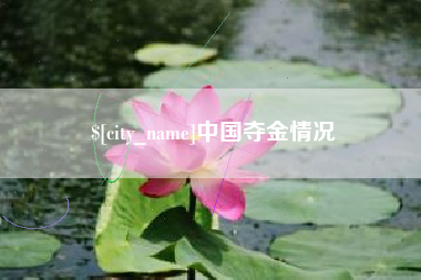 海盐中国夺金情况