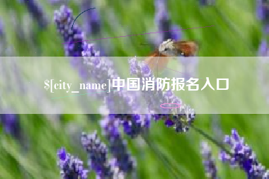 海盐中国消防报名入口