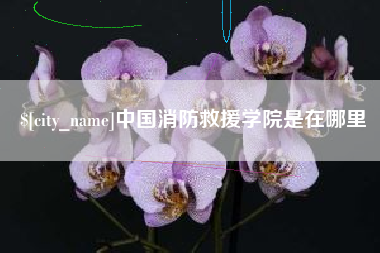 海盐中国消防救援学院是在哪里