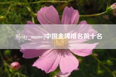 海盐中国金牌排名前十名