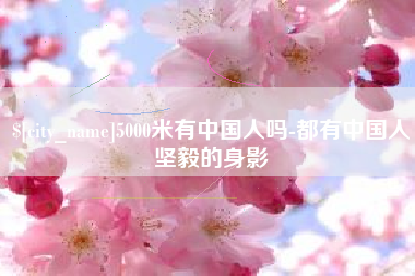 海盐5000米有中国人吗-都有中国人坚毅的身影