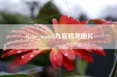 海盐九宫格龙图片