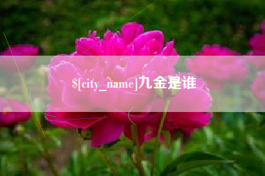 海盐九金是谁
