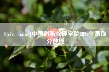海盐中国消防救援学院2019年录取分数线