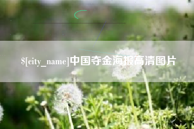 海盐中国夺金海报高清图片