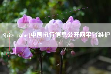 海盐中国执行信息公开网平台维护