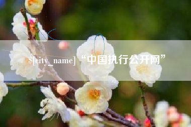 海盐“中国执行公开网”