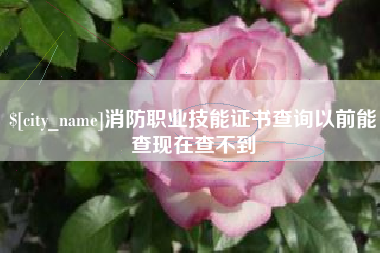海盐消防职业技能证书查询以前能查现在查不到
