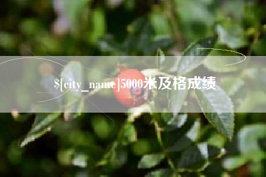 海盐5000米及格成绩