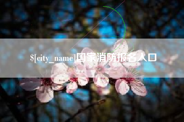 海盐国家消防报名入口