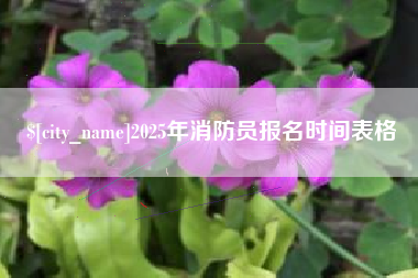 海盐2025年消防员报名时间表格