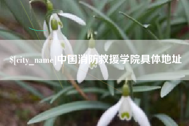 海盐中国消防救援学院具体地址