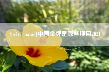 海盐中国金牌是哪些项目2021