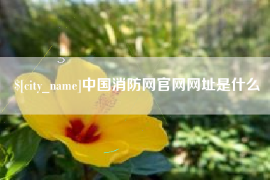 海盐中国消防网官网网址是什么