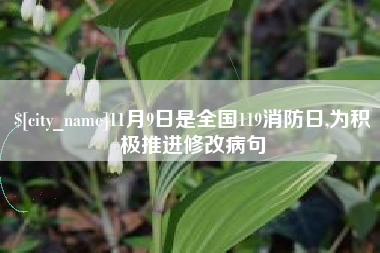 海盐11月9日是全国119消防日,为积极推进修改病句