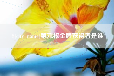海盐第九枚金牌获得者是谁