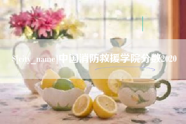 海盐中国消防救援学院分数2020
