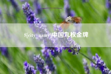海盐中国九枚金牌