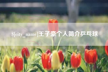 海盐王子豪个人简介乒乓球