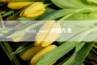 海盐中国九金