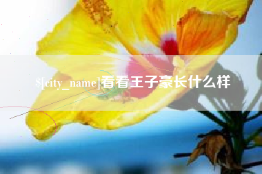 海盐看看王子豪长什么样