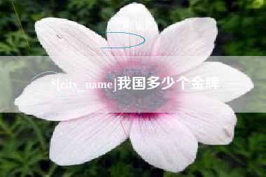 海盐我国多少个金牌